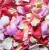 Lilac Orange Pink Mix  